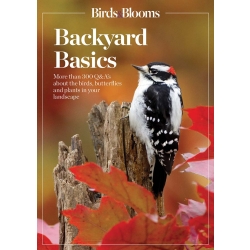 Birds and Blooms Backyard Basics